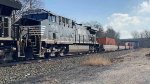 NS 4743 is new to rrpa.